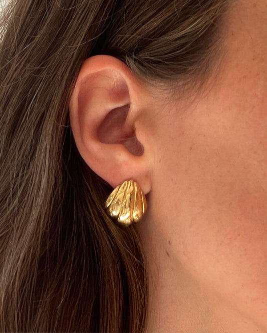 Golden Shell Studs 🐚✨